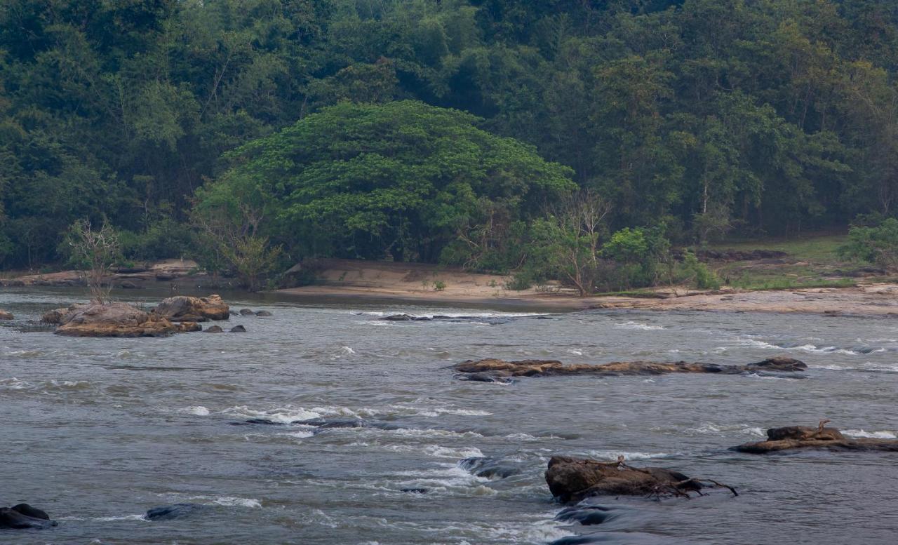 Quiet By The River- Cgh Earth Thodakayam Экстерьер фото